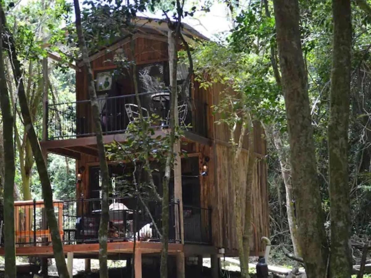 Shabby Fufu Lifestyle Farm Villa Plettenberg Bay Dış mekan fotoğraf